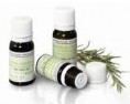 Pranarom Hierbaluisa Aceite Esencial