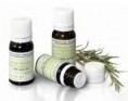 Pranarom Laurel Aceite Esencial