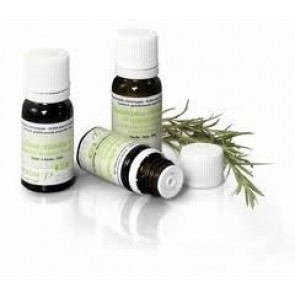 Pranarom Patchuli Hoja Aceite Esencial Bio