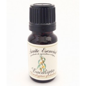 Labiatae Aceite Esencial Eucalipto Bio