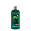 Logona Champú Hidratación Aloe Vera Bio