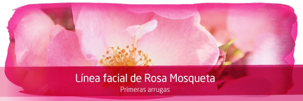 Tienda de Weleda Rosa Mosqueta Primeras Arrugas a partir de los 30 años - Cosmética Ecológica 100% Certificada